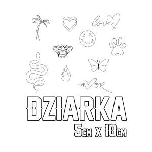 MAŁA DZIARKA 5cm x 10cm - (PROMOCJA!)